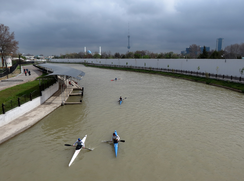 Повторяющиеся трагедии: институциональные причины системных рисков