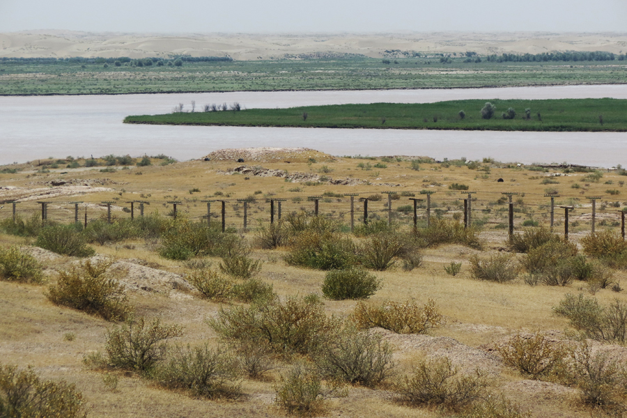 Афганец, афганский ветер