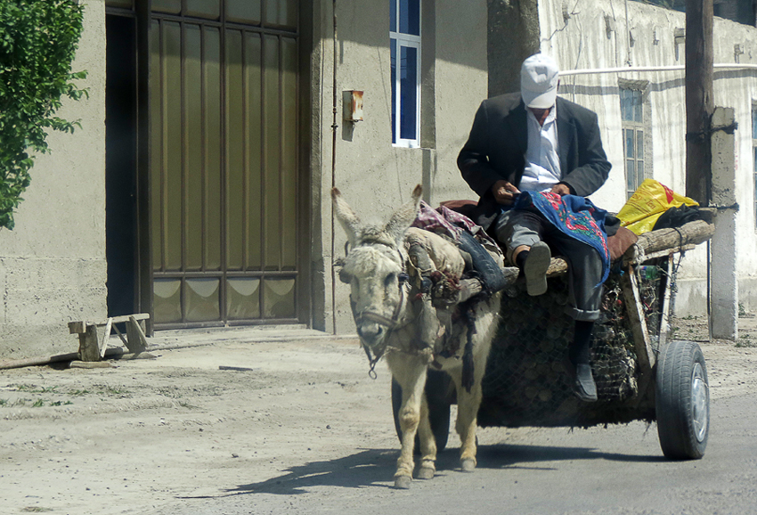 Новые правила для мопедов: непродуманная реформа или «захват регуляции»?