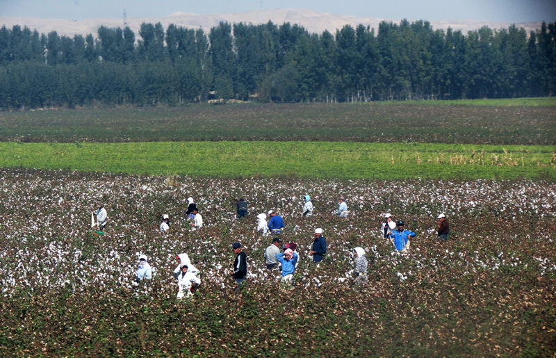 Герои нашего времени: пять путей к достоинству