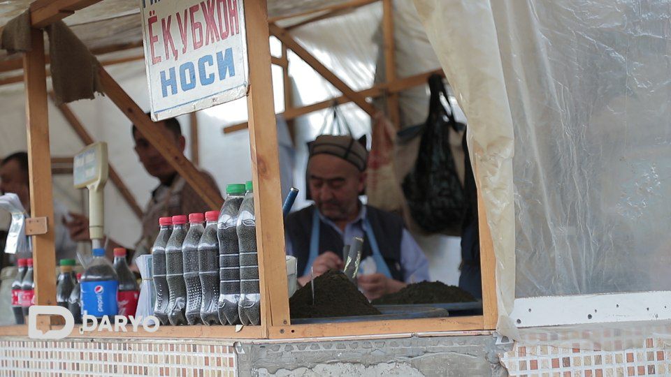 Насвай, нос