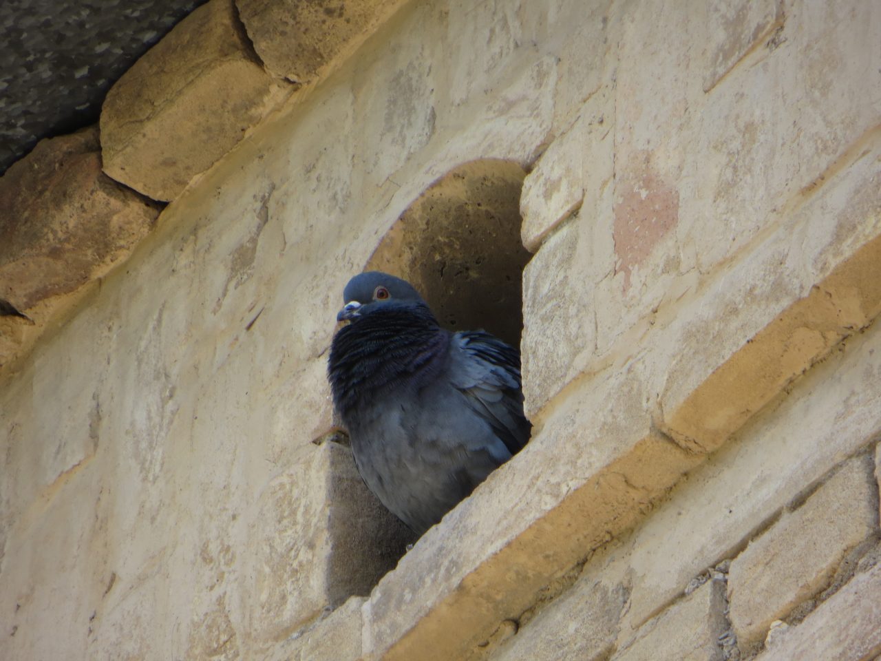 Комплекс “Пири Сидик” в Маргилане