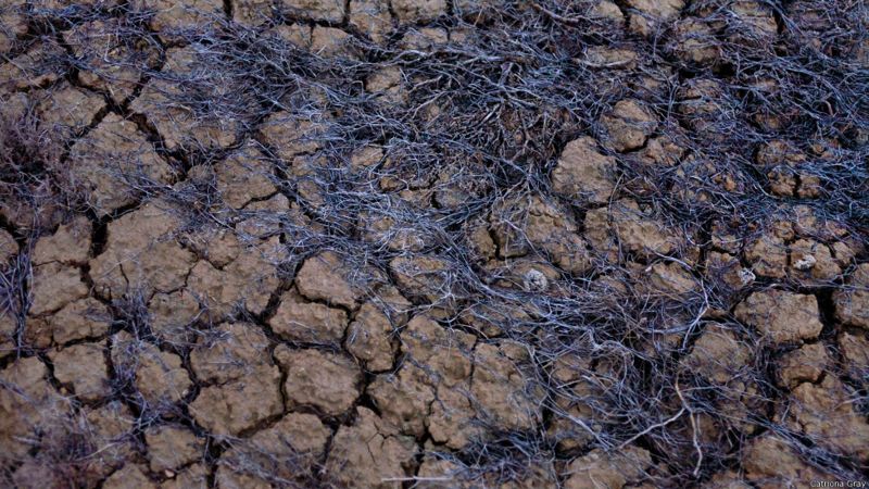 Почему умирает Аральское море