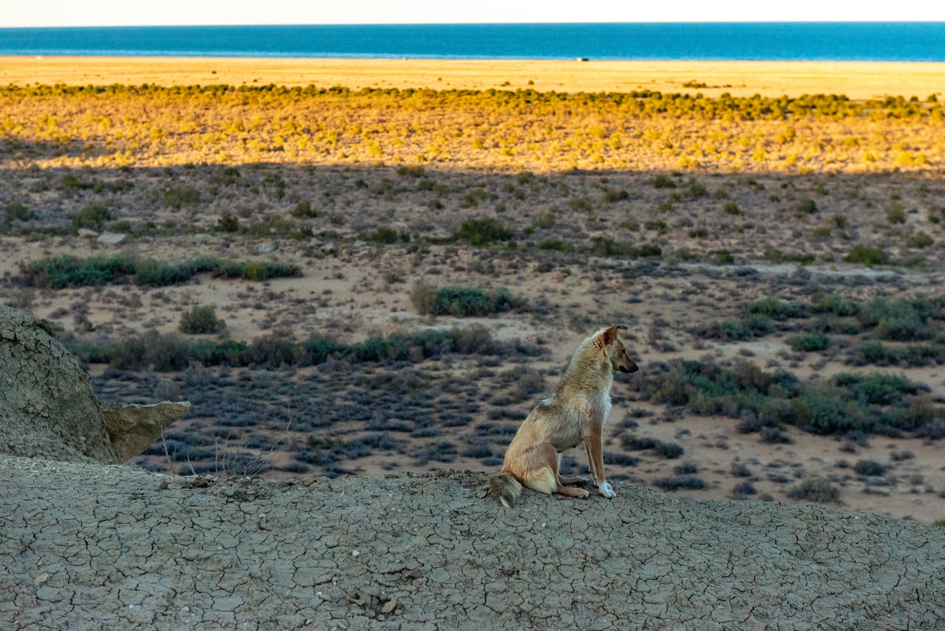 Арал: есть ли жизнь после смерти?