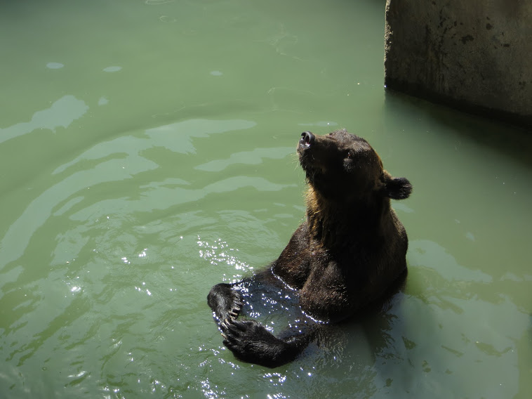 Жизнь есть любовь: истории из Ташкентского зоопарка