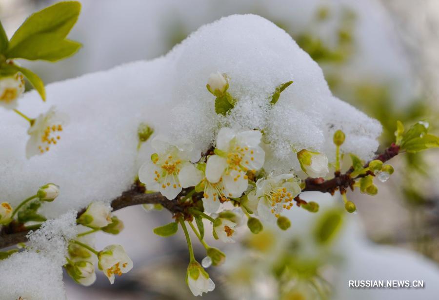 Самое интересное за 27 февраля (дополнено)