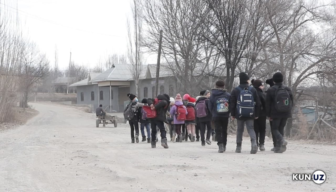 Telegram в Узбекистане: главные темы 22 декабря 2024 года