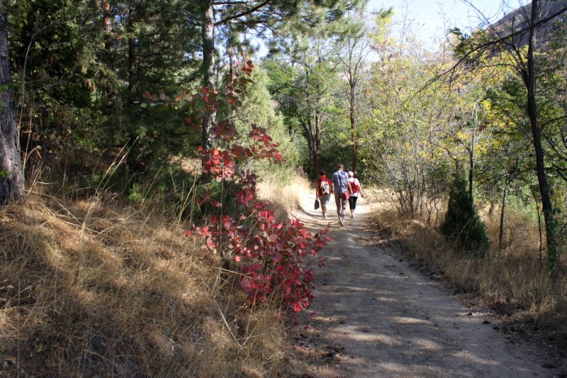 Осень в горах Узбекистана: Сукок