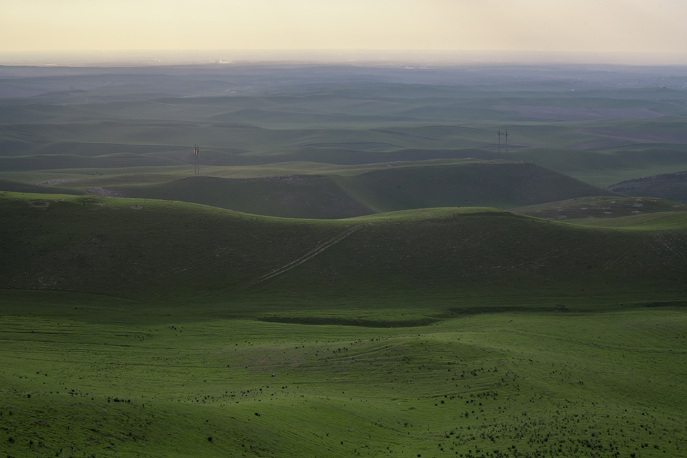 Как Узбекистан становится приоритетным партнером Китая в Центральной Азии?