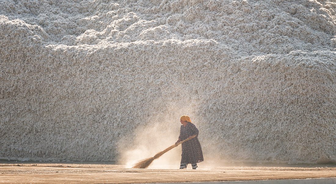 Аграрный сектор: тактическое реагирование вместо системного реформирования