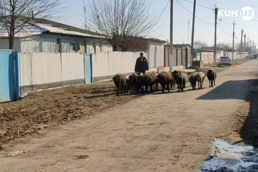 Узбекистан, как он есть: Бустон (Сардоба)
