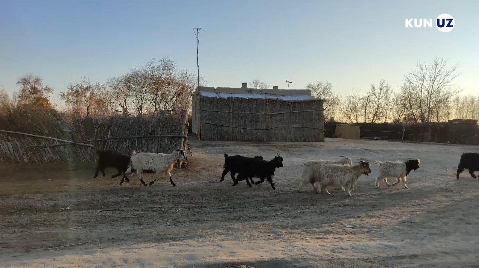 Узбекистан, как он есть: Кизилузак (Чимбай)