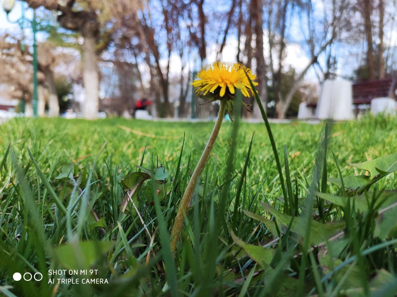 Самое интересное за 23 марта