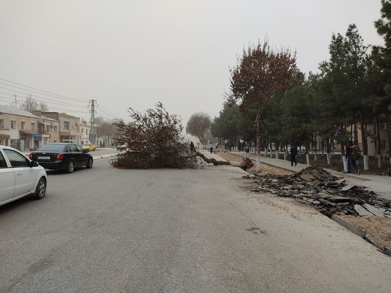 Самое интересное за 19 марта