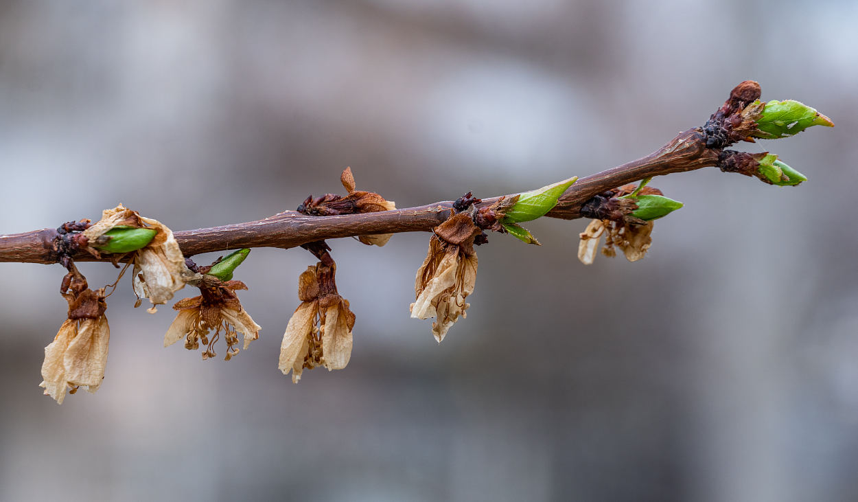 Самое интересное за 15 марта