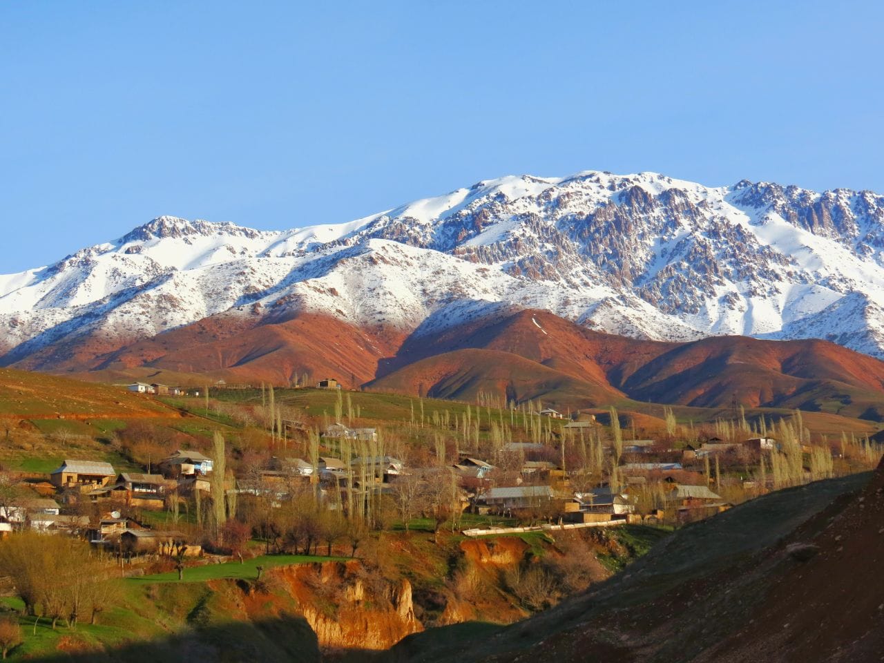 Самое интересное за 11 марта