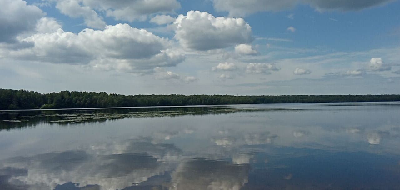 “Кажется, что должно быть лучше”