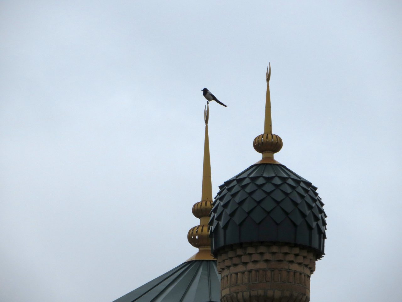 Освобождение Гайрата Дустова: первая реакция