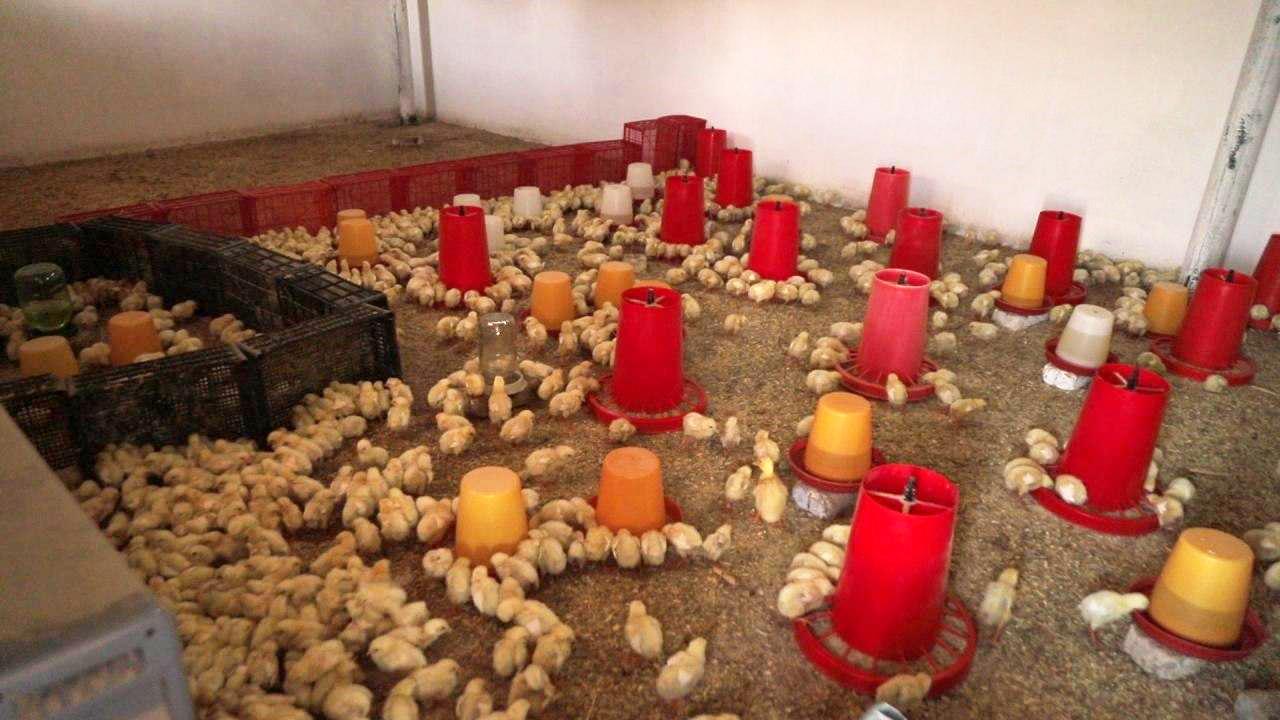 Узбекистан, как он есть: миллионеры из Асаки (Андижан)