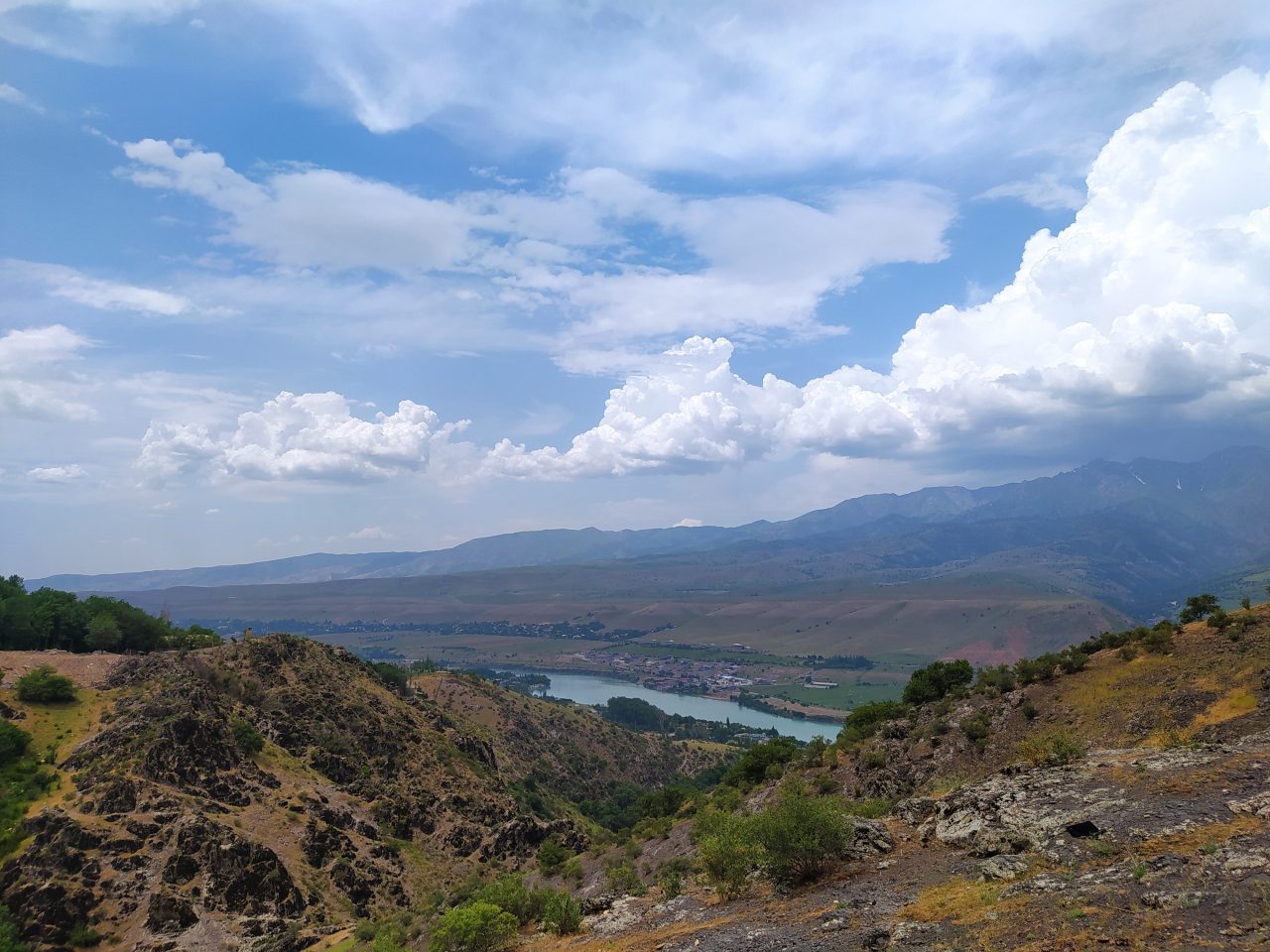В жизни всегда есть место земляничке!