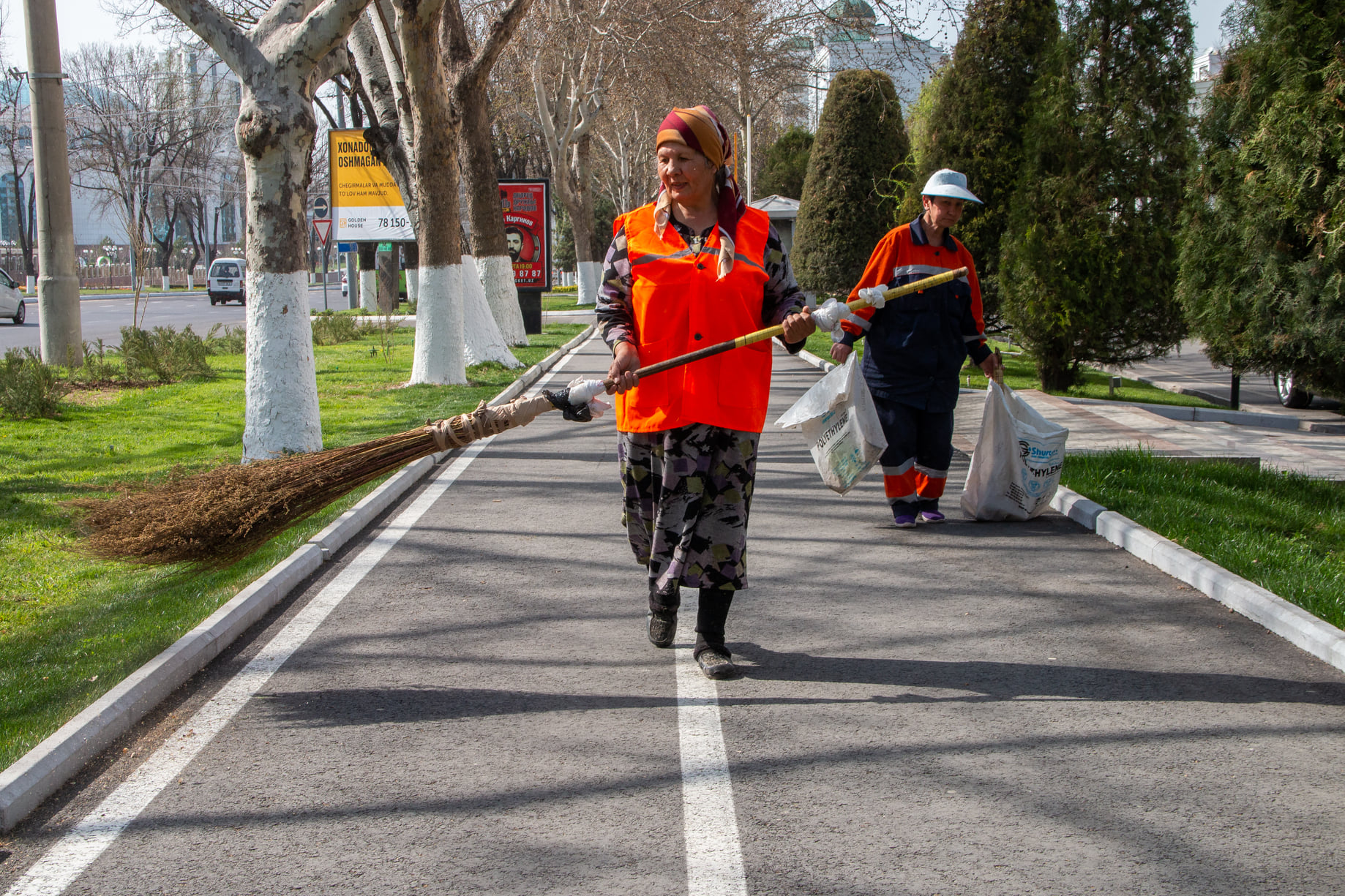 «Враг экологии — хокимияты»: Кушербаев о вырубке деревьев и бездействии властей