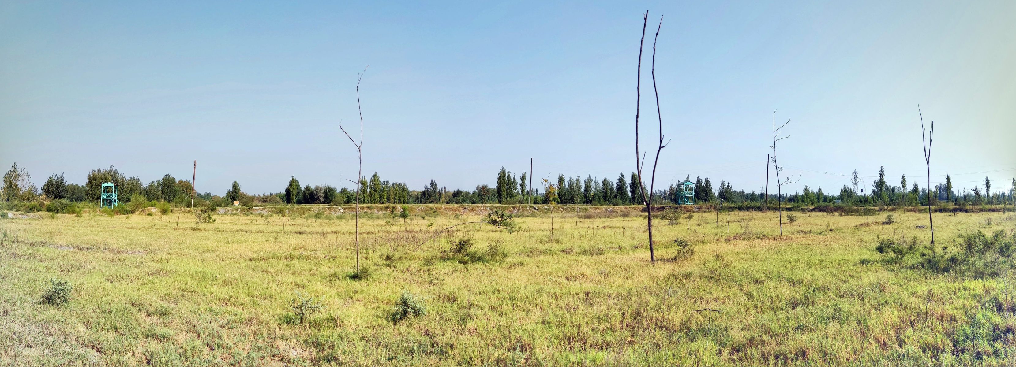 Ботанический сад и парк Экотуризма (Дангаринский район)