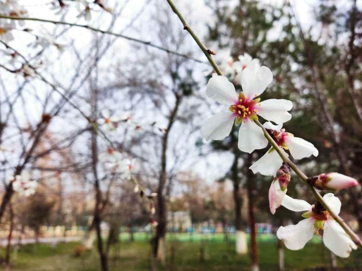 Фото дня из Ташкента