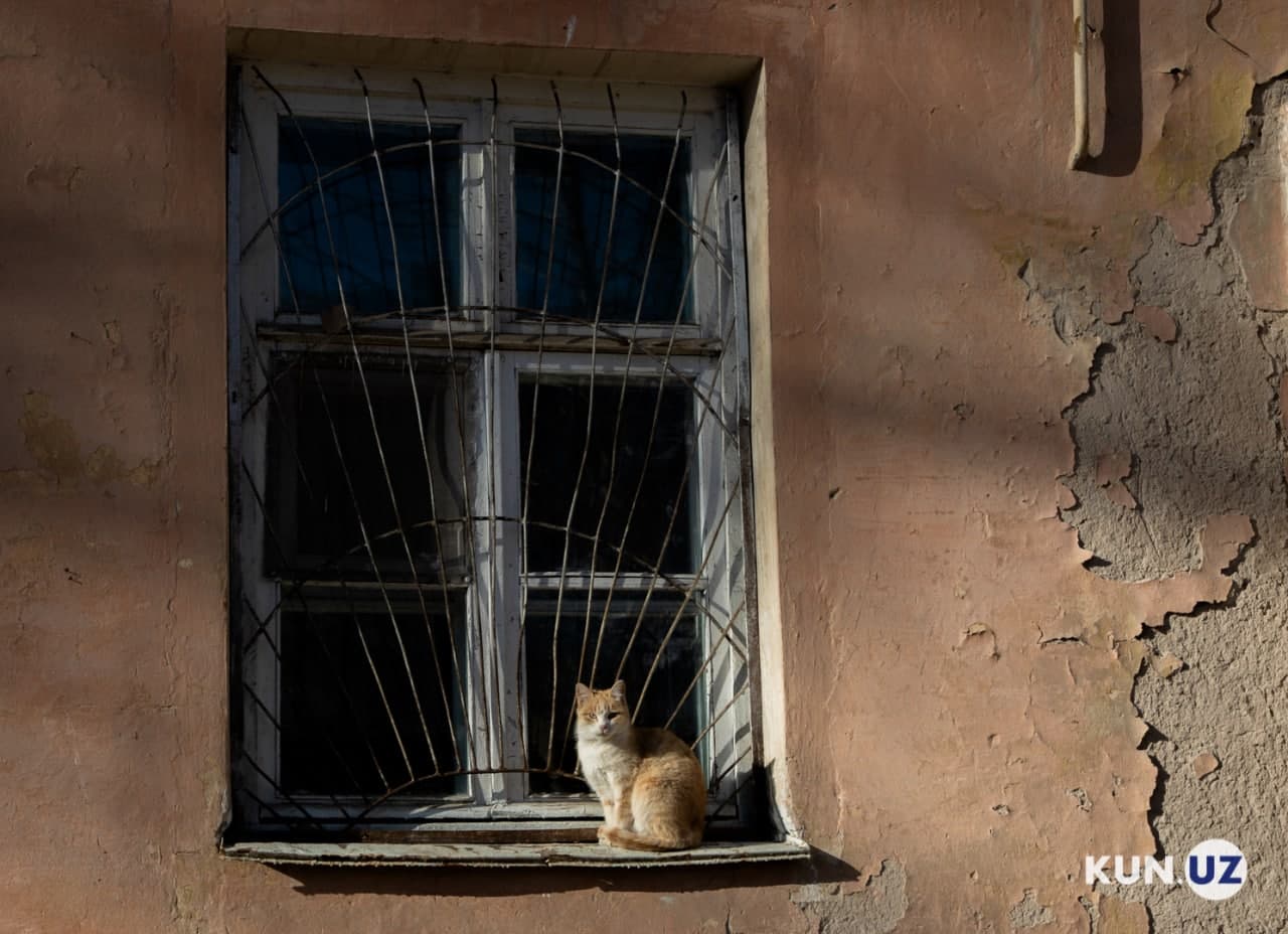 Янгиабад: шахтёрский городок из 1960-х