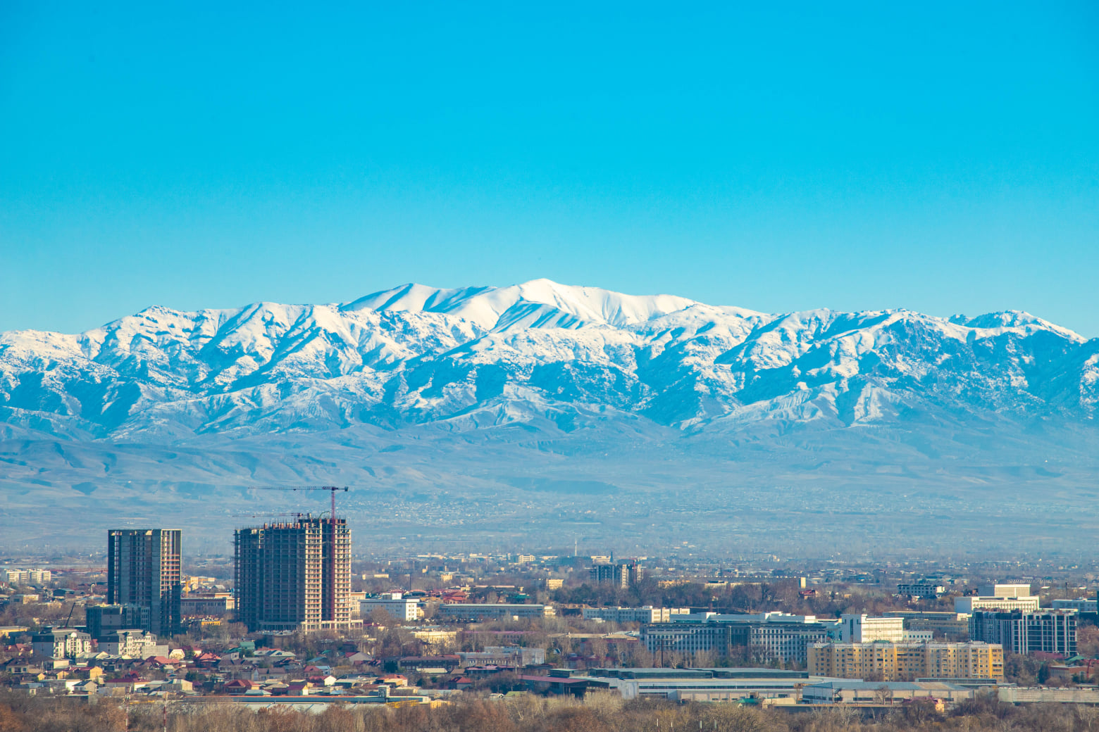 Почему Узбекистан?