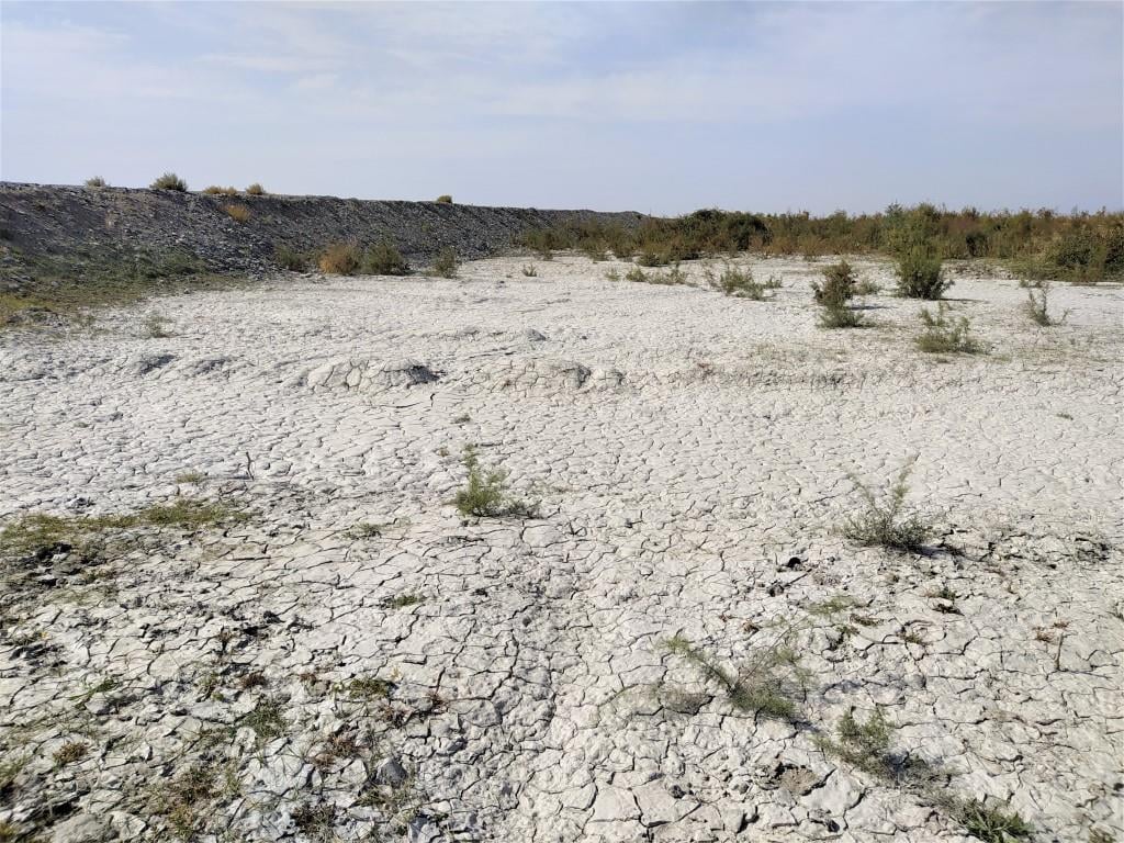 Две фото дня из Самарканда