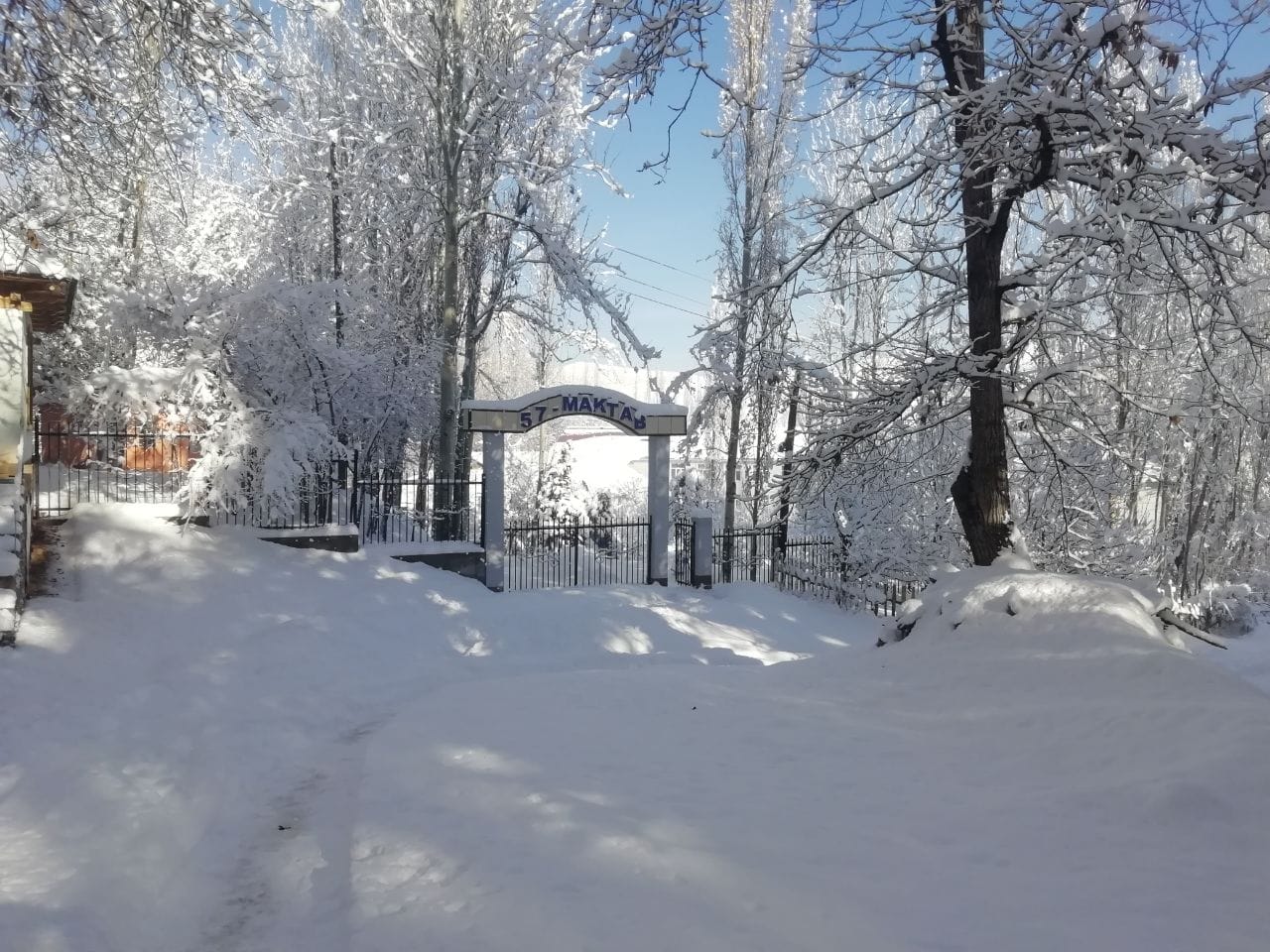 Две фото дня из Кашкадарьи