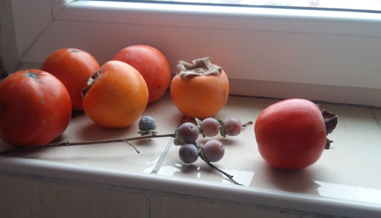 Узбекистан входит в мировую пятерку крупнейших экспортеров хурмы