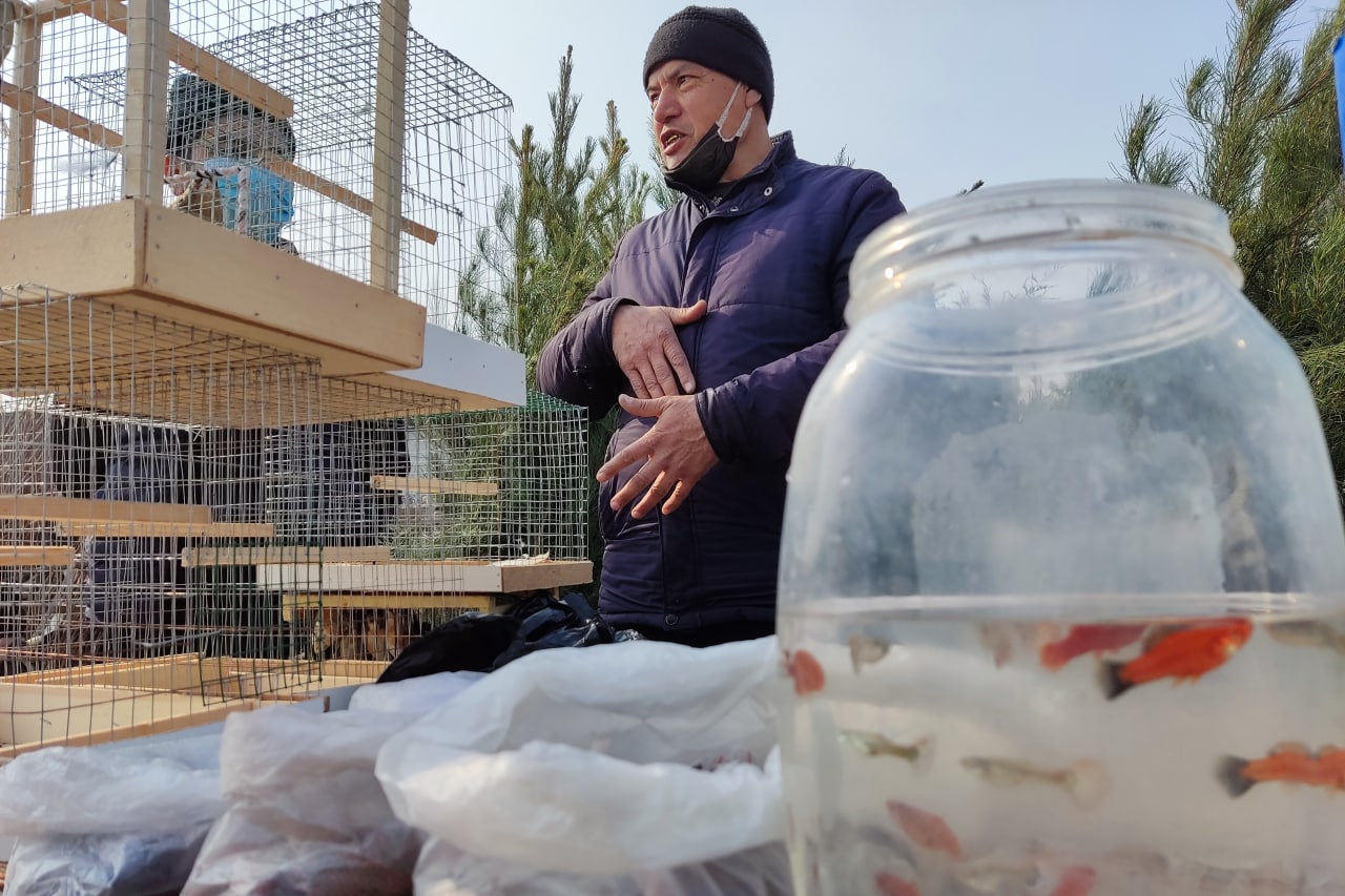 Подмена понятий: Почему «охота на мелкую рыбу» прикрывает системную коррупцию в Узбекистане