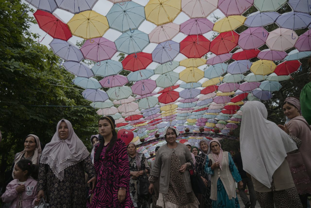 Шипы и розы