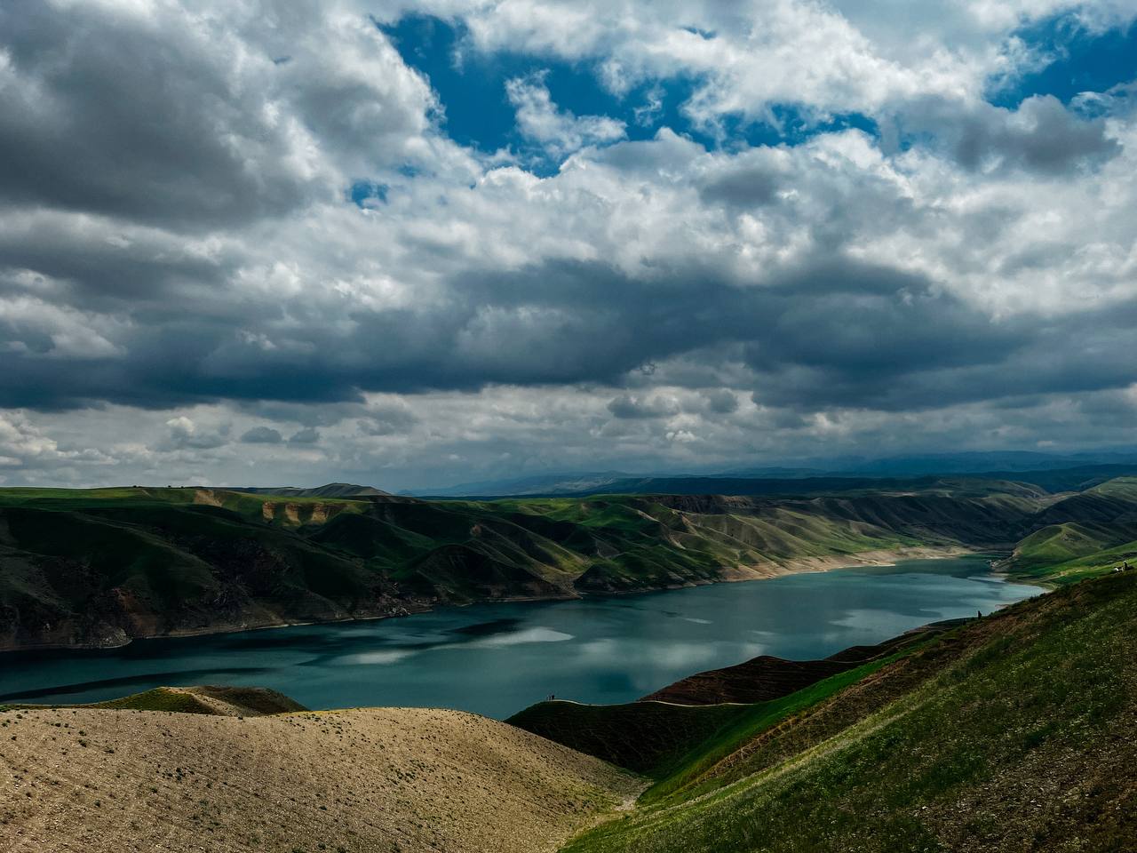 Заамин и Zaamin Ultra-2022