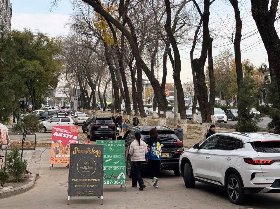 Farosat: философия мудрости и благоразумия