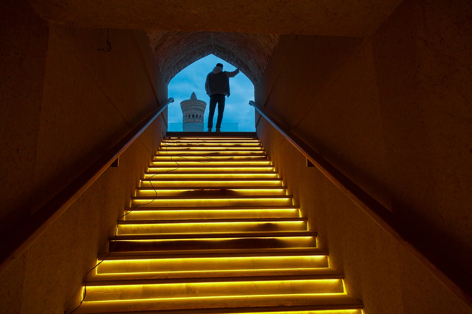 От музея к живому организму | Mohiyat: О главном