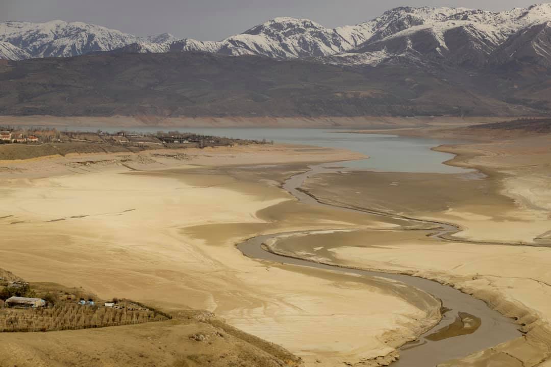 Sea Breeze Uzbekistan: как правительственное «исключение» вызвало в узнете сарказм, омерзение и обвинения в шулерстве