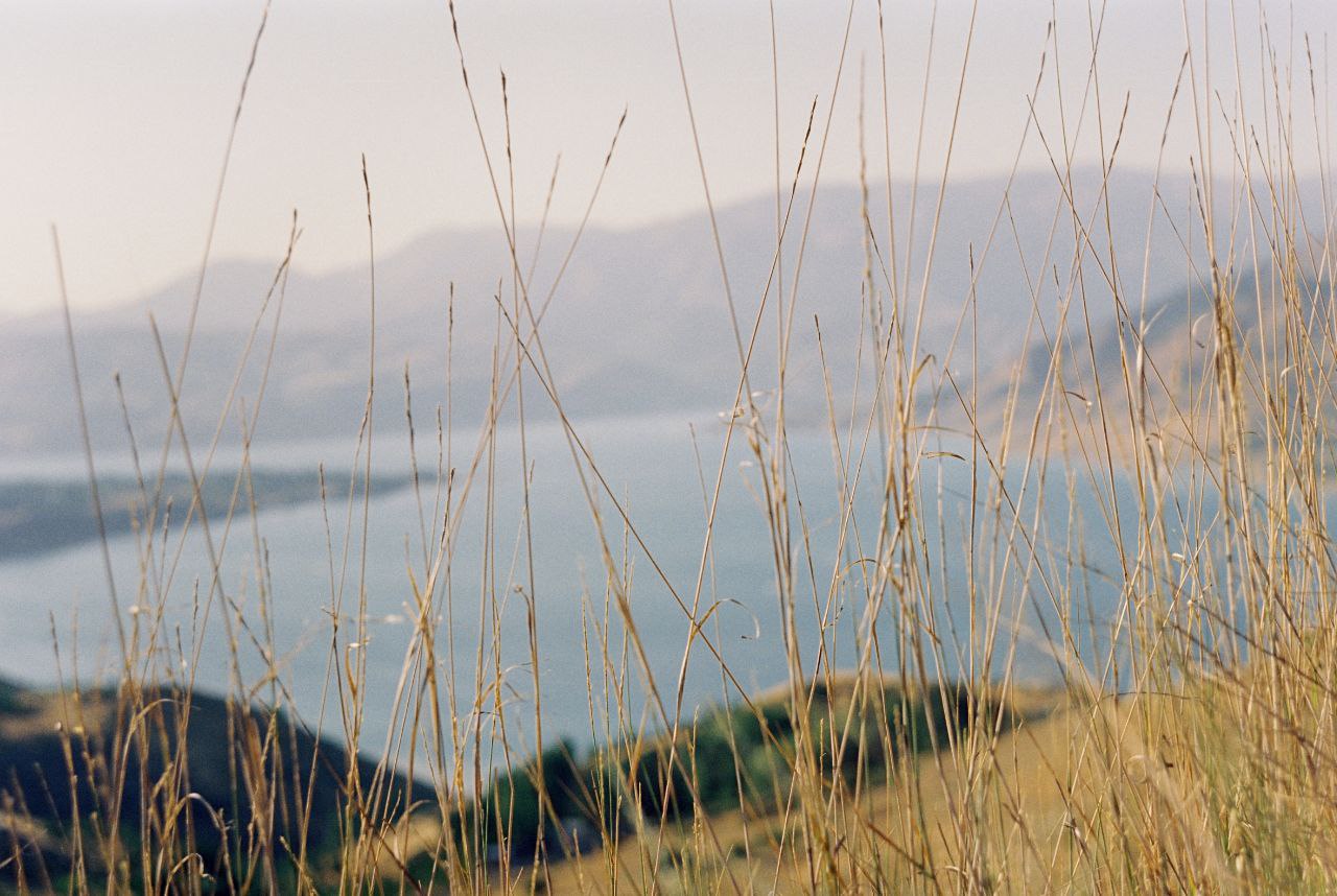 Sea Breeze на Чарваке: хроника и анализ решения