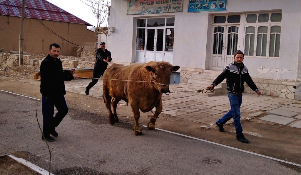 Дырявое ведро и невосполнимая беседа: код «ола» в узоре узбекской идентичности