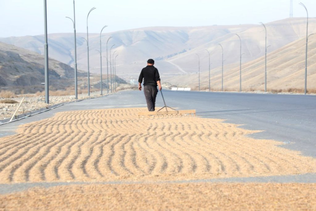 Асфальт — это тоже земля, которая кормит