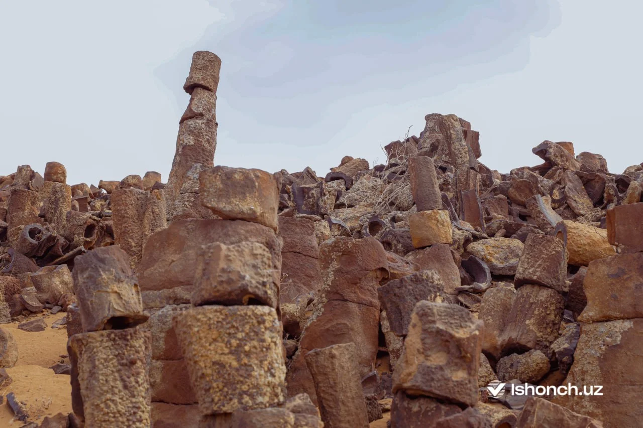 Каменный лес Джаракудука: Закрытый архив на дне океана