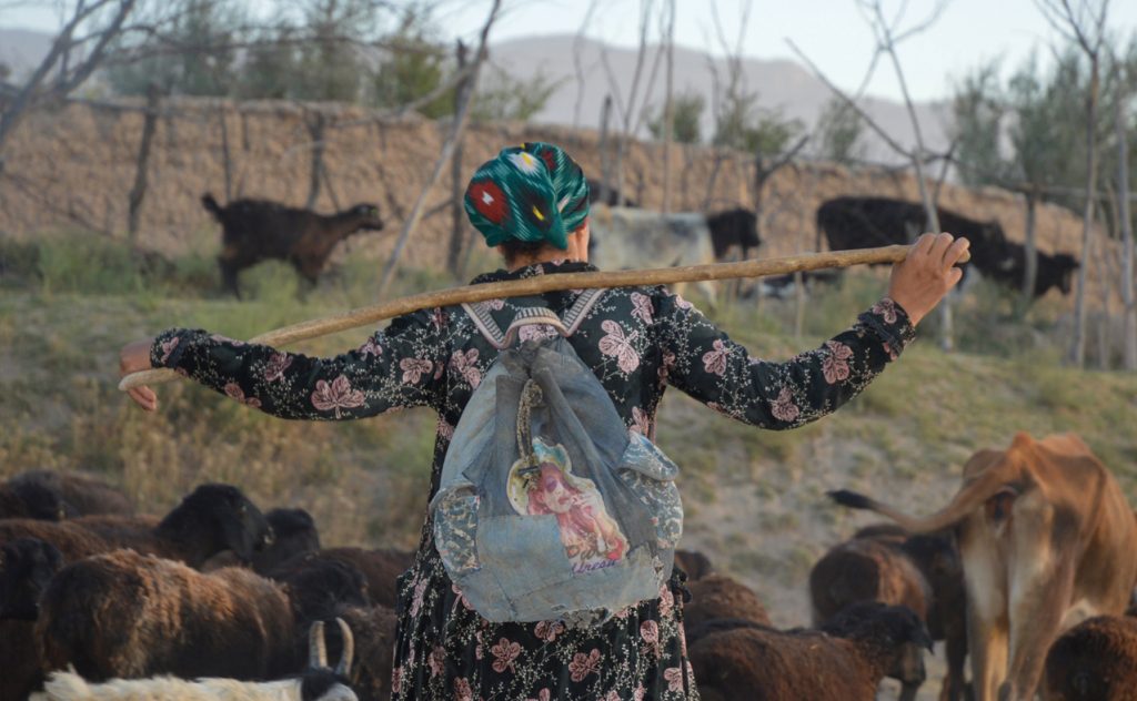 От «инфляции еды» к «инфляции услуг»: Новая структура стоимости жизни в Узбекистане